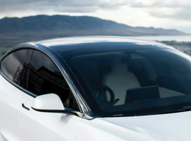 tinted glazing india
